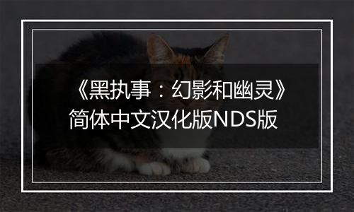 《黑执事:幻影和幽灵》简体中文汉化版NDS版