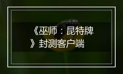 《巫师:昆特牌》封测客户端