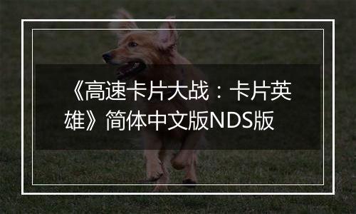 《高速卡片大战：卡片英雄》简体中文版NDS版