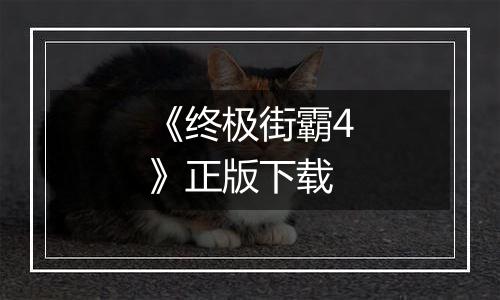 《终极街霸4》正版下载