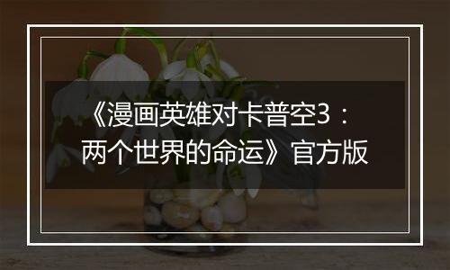 《漫画英雄对卡普空3:两个世界的命运》官方版