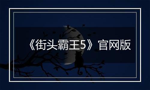 《街头霸王5》官网版