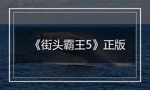 《街头霸王5》正版