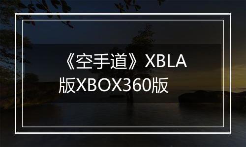 《空手道》XBLA版XBOX360版