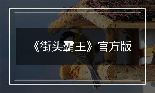 《街头霸王》官方版