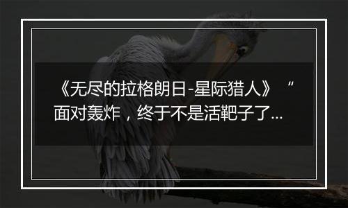 《无尽的拉格朗日-星际猎人》“面对轰炸，终于不是活靶子了！