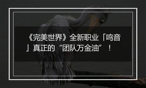 《完美世界》全新职业「鸣音」真正的“团队万金油”！