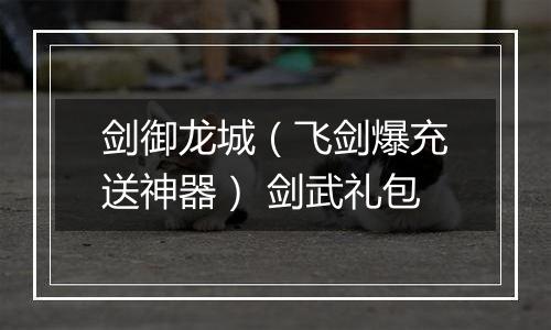 剑御龙城（飞剑爆充送神器） 剑武礼包