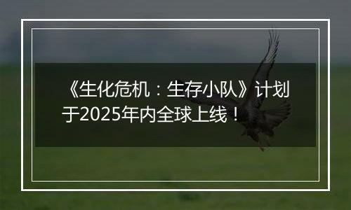 《生化危机：生存小队》计划于2025年内全球上线！