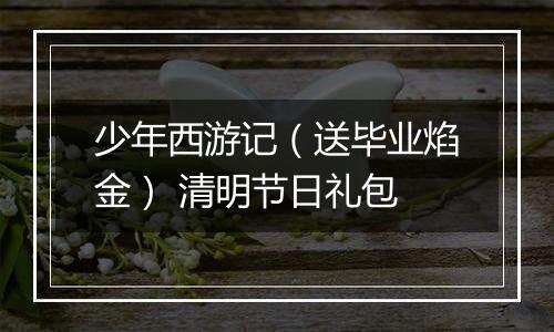 少年西游记（送毕业焰金） 清明节日礼包