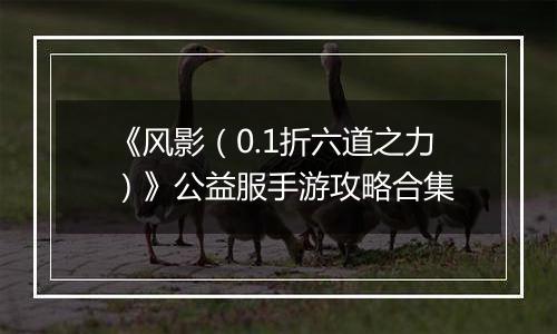 《风影（0.1折六道之力）》公益服手游攻略合集