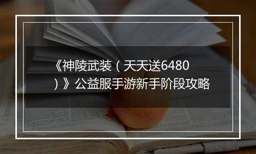 《神陵武装（天天送6480）》公益服手游新手阶段攻略