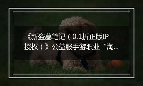 《新盗墓笔记（0.1折正版IP授权）》公益服手游职业“淘沙”技能定位解析