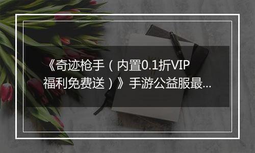 《奇迹枪手（内置0.1折VIP福利免费送）》手游公益服最强职业推荐
