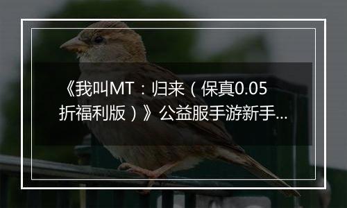 《我叫MT：归来（保真0.05折福利版）》公益服手游新手卡组阵容推荐！