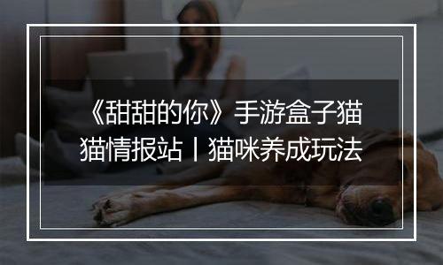 《甜甜的你》手游盒子猫猫情报站丨猫咪养成玩法