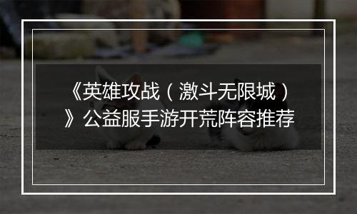 《英雄攻战（激斗无限城）》公益服手游开荒阵容推荐
