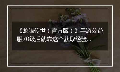 《龙腾传世（官方版）》手游公益服70级后就靠这个获取经验快速升级