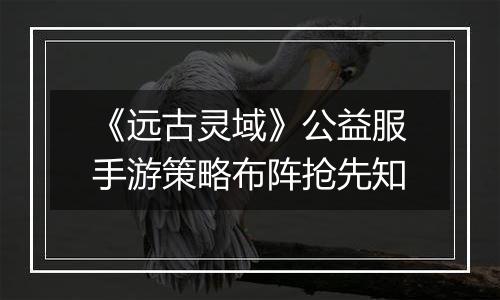 《远古灵域》公益服手游策略布阵抢先知