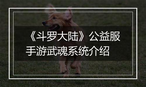 《斗罗大陆》公益服手游武魂系统介绍