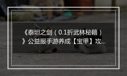 《泰坦之剑（0.1折武林秘籍）》公益服手游养成【宝甲】攻略