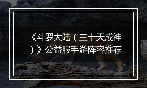 《斗罗大陆（三十天成神）》公益服手游阵容推荐