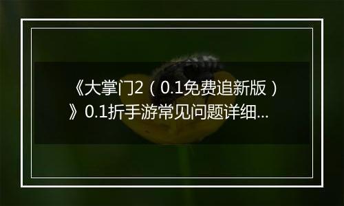 《大掌门2（0.1免费追新版）》0.1折手游常见问题详细解答 FAQ汇总