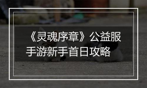 《灵魂序章》公益服手游新手首日攻略