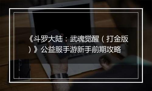 《斗罗大陆：武魂觉醒（打金版）》公益服手游新手前期攻略