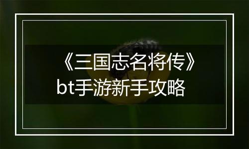 《三国志名将传》bt手游新手攻略
