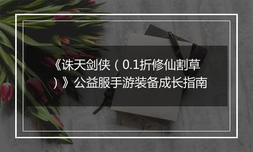 《诛天剑侠（0.1折修仙割草）》公益服手游装备成长指南