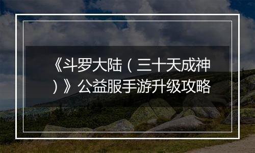 《斗罗大陆（三十天成神）》公益服手游升级攻略