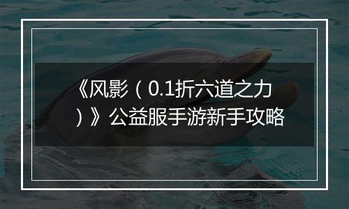 《风影（0.1折六道之力）》公益服手游新手攻略
