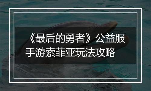 《最后的勇者》公益服手游索菲亚玩法攻略