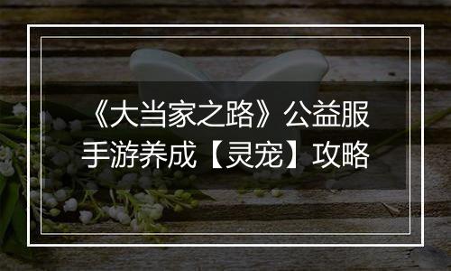 《大当家之路》公益服手游养成【灵宠】攻略