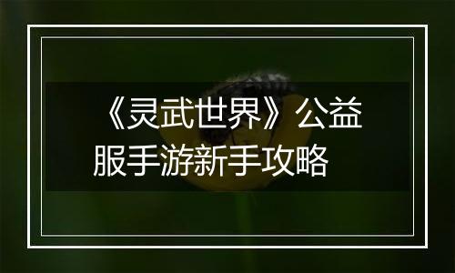 《灵武世界》公益服手游新手攻略