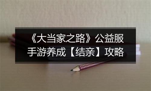 《大当家之路》公益服手游养成【结亲】攻略