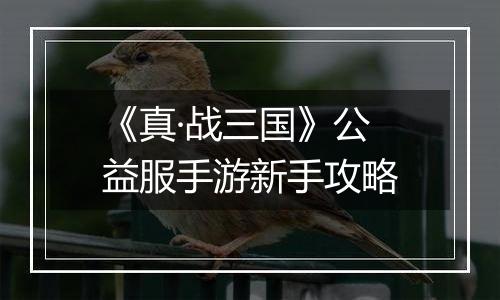 《真·战三国》公益服手游新手攻略