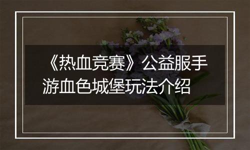 《热血竞赛》公益服手游血色城堡玩法介绍