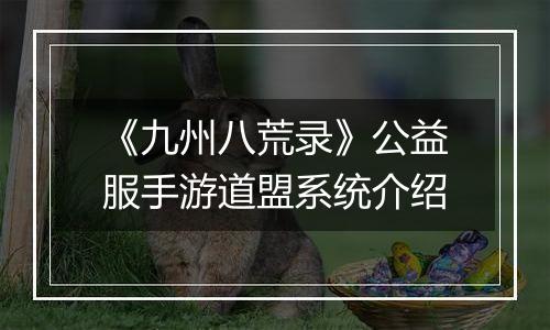 《九州八荒录》公益服手游道盟系统介绍