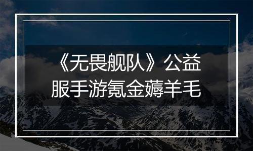 《无畏舰队》公益服手游氪金薅羊毛