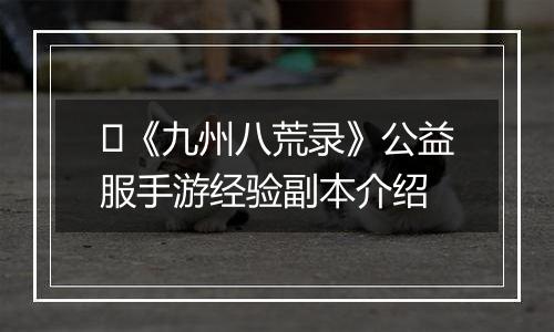 ​《九州八荒录》公益服手游经验副本介绍
