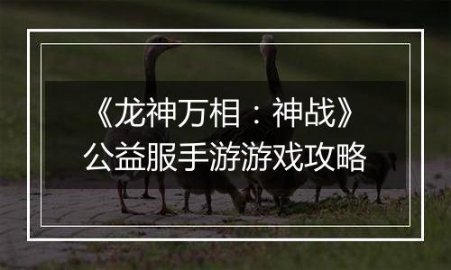 《龙神万相：神战》公益服手游游戏攻略