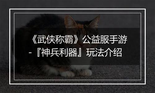 《武侠称霸》公益服手游-『神兵利器』玩法介绍