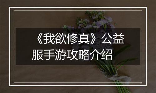 《我欲修真》公益服手游攻略介绍