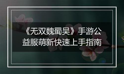 《无双魏蜀吴》手游公益服萌新快速上手指南