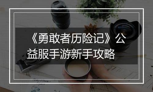 《勇敢者历险记》公益服手游新手攻略