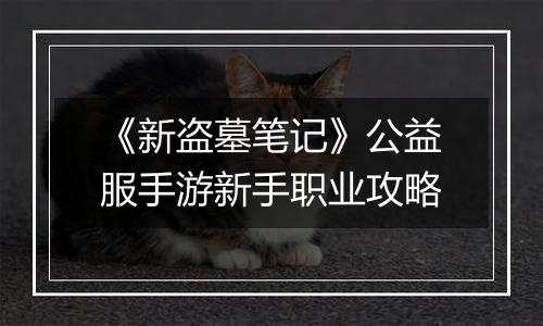 《新盗墓笔记》公益服手游新手职业攻略