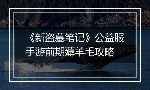 《新盗墓笔记》公益服手游前期薅羊毛攻略