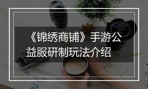 《锦绣商铺》手游公益服研制玩法介绍